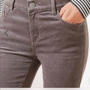 The  Loft Soft Corduroy grey Modern Skinny Jeans